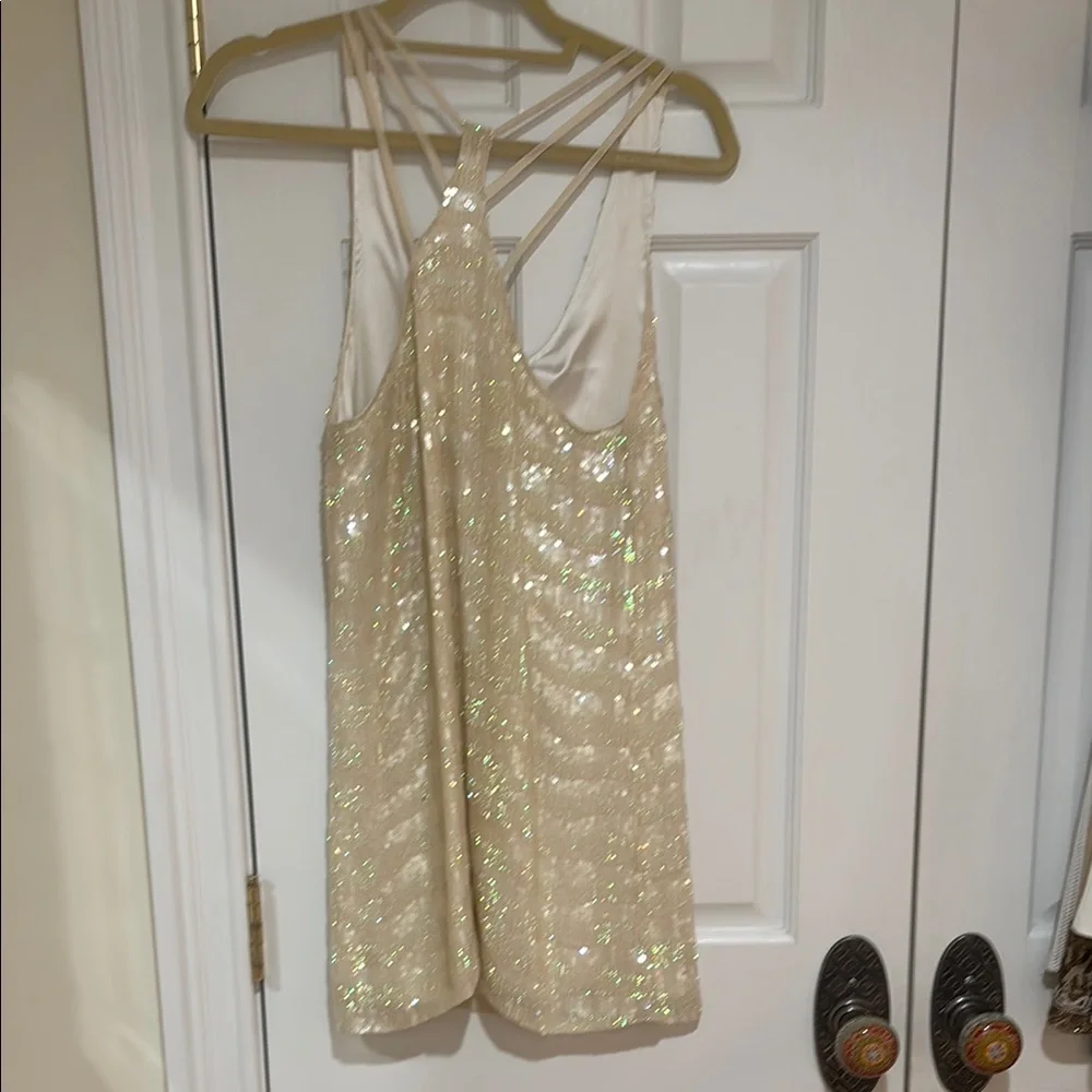 Parker Cream Sequin Dress - Picture 4 of 5